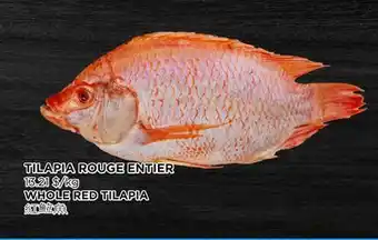 Kim Phat Whole red tilapia offer