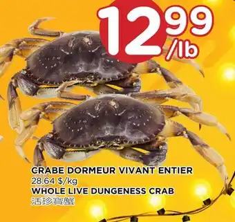 Kim Phat Whole live dungeness crab offer