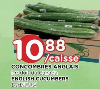 Kim Phat English cucumbers offer