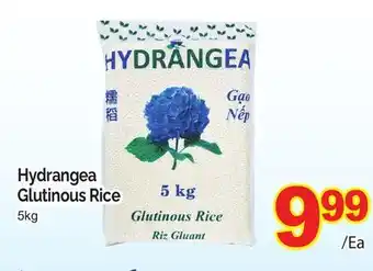 T&T Supermarket Hydrangea glutinous rice, 5kg offer