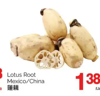 T&T Supermarket Lotus root offer