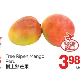 T&T Supermarket Tree ripen mango offer