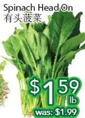 Ample Food Market Spinach head on offer