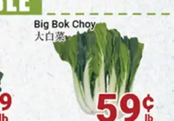 Oceans Fresh Food Market Big bok choy offer