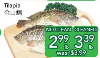 Ample Food Market Tilapia offer