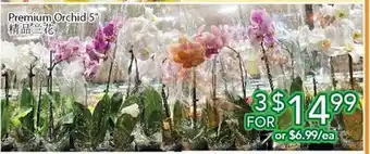 Ample Food Market Premium orchid 5 offer