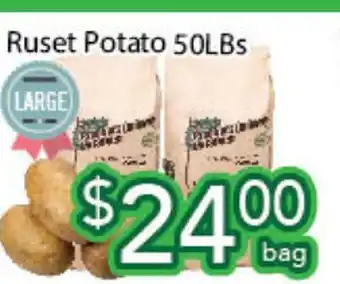 Ample Food Market Ruset potato offer