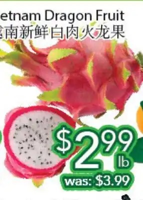 Ample Food Market Vietnam dragon fruit offer