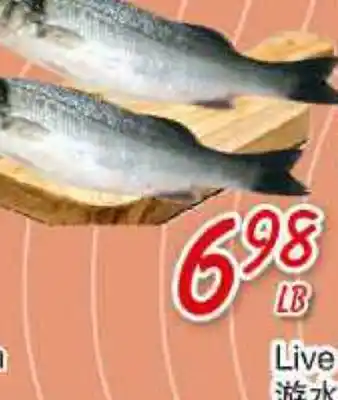 Foody Mart Live turbot offer