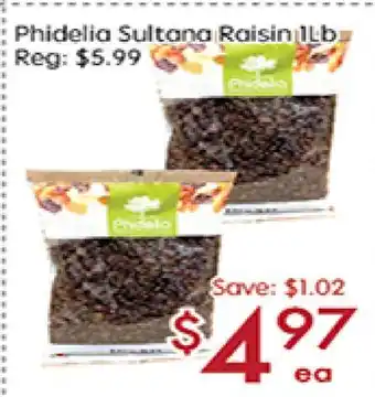 Phidelia sultana raisin