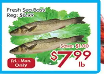 Sunny Food Mart Fresh sea bass offer