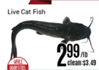 Nations Fresh Foods Live cat fish offer