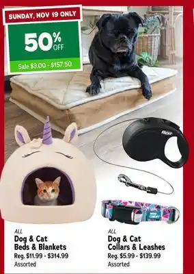 Ren’s Pets Depot All dog & cat beds & blankets offer