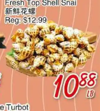 Foody Mart Fresh top shell snail offer