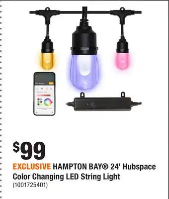 Home Depot Exclusive hampton bay 24' hubspace color changing led string light offer