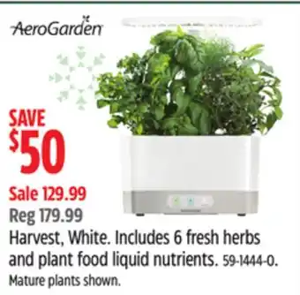 Canadian Tire Scotts harvest, white offer