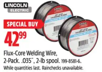 Canadian Tire Lincoln electric flux-core welding wire, 2-pack offer