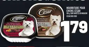 Metro Nourriture pour chiens cesar | cesar dog food offer