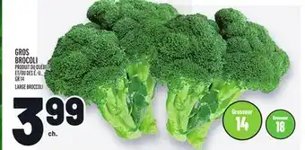 Metro Gros brocoli | large broccoli offer