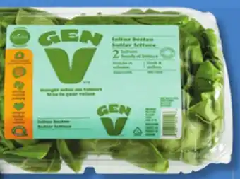 IGA Gen v greenhouse butter twin, green and red salanova lettuce duo offer
