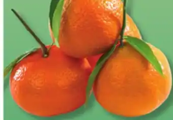IGA Clementines with leaves offer
