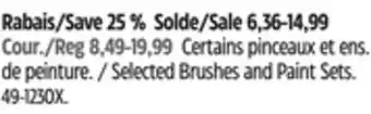 Canadian Tire Premier paint selected brushes and paint sets offer