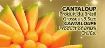 Marches Tradition Cantaloupe offer