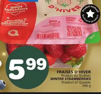 Marches Tradition Winter strawberries offer