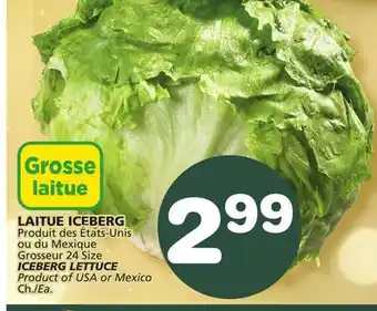 Marches Tradition Iceberg lettuce offer