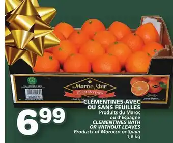 Marches Tradition Clementines with or without leaves offer
