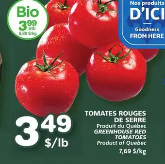 Marches Tradition Greenhouse red tomatoes offer