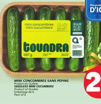 Marché Bonichoix Seedless mini cucumbers offer