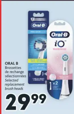Brunet Oral b brossettes de rechange sélectionnées offer