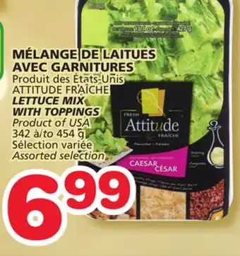 Marches Tradition Lettuce mix with toppings offer