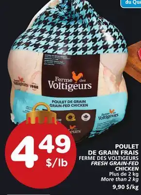 Marches Tradition Ferme des voltigeurs fresh grain-fed chicken offer