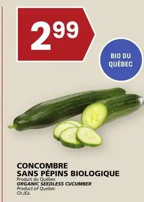 Rachelle-Bery Grocery Organic seedless cucumber offer