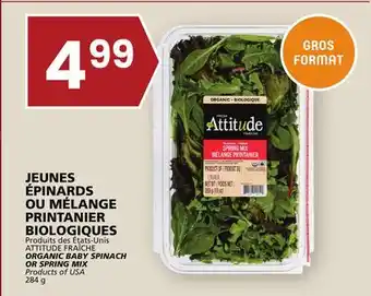 Rachelle-Bery Grocery Attitude fraîche organic baby spinach or spring mix offer