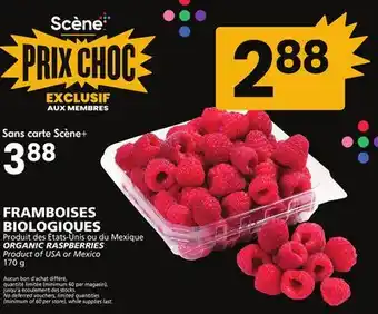 Rachelle-Bery Grocery Organic raspberries offer