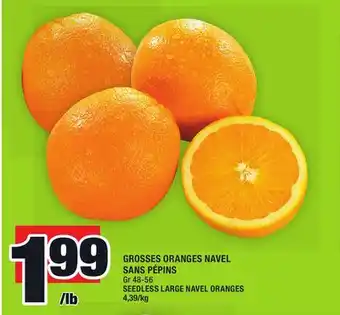 Super C Grosses oranges navel sans pépins | seedless large navel oranges offer