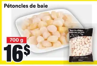 Super C Pétoncles de baie | bay scallops offer