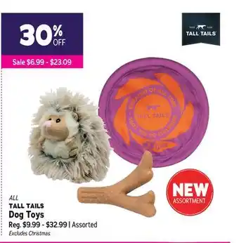 Ren’s Pets Depot All tall tails dog toys offer