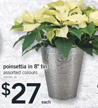 Fortinos Poinsettia in 8 tin offer