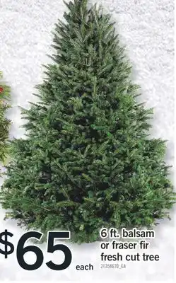 Fortinos 6 ft. balsam or fraser fir fresh cut tree offer