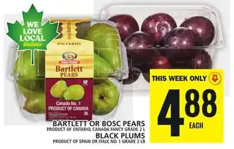 Food Basics Bartlett or bosc pears, black plums offer