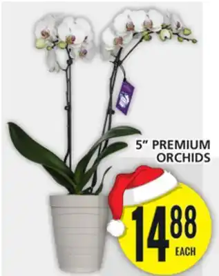 Food Basics 5 premium orchids offer