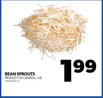 Real Canadian Superstore Bean sprouts, 1 lb offer