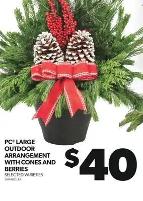 Real Canadian Superstore Pc large outdoor arrangement with cones and berries offer