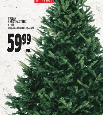 Metro Balsam christmas trees offer