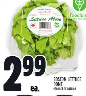 Metro Boston lettuce dome offer