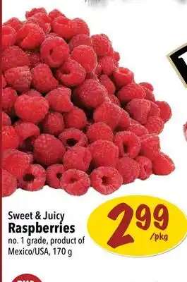 Farm Boy Sweet & juicy raspberries offer